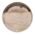 ΠΙΑΤΟ ΕΠΙΠΕΔΟ FLAT NATURA 21 CM NEW BONE CHINA