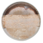 ΠΙΑΤΟ ΕΠΙΠΕΔΟ FLAT NATURA 29