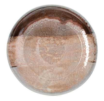 ΠΙΑΤΟ ΠΑΣΤΑΣ NATURA 26 CM NEW BONE CHINA