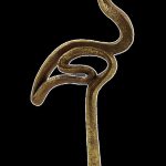 ΦΛΑΜΙΓΚΟ 35cm LF24641-2G - Oriana Ferelli®