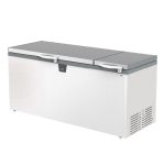 Καταψύκτης μπαούλο με 2 καπάκια 2055x875x983mm